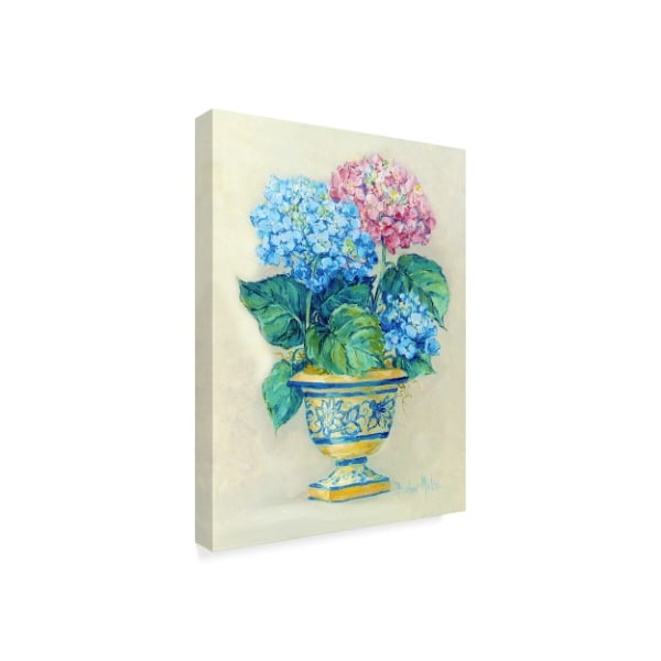Barbara Mock ' Hydrangea Blooms' Canvas Art,18x24